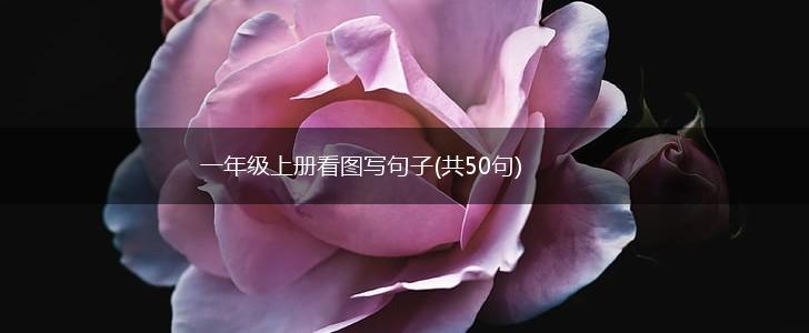 一年级上册看图写句子(共50句),第1张