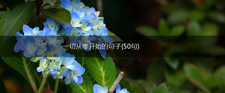 一切从零开始的句子(50句),第1张