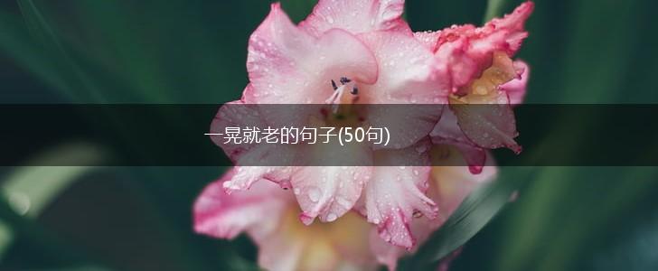 一晃就老的句子(50句),第1张