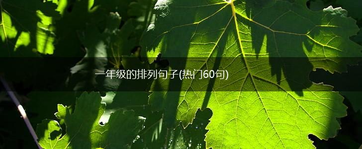 一年级的排列句子(热门60句),第1张