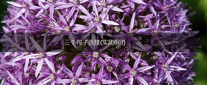 三个句子连接(实用6句),第1张