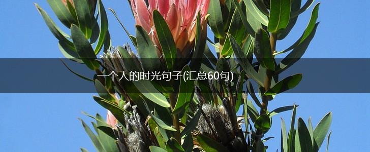 一个人的时光句子(汇总60句),第1张