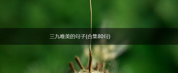 三九唯美的句子(合集80句),第1张
