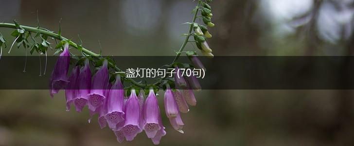 一盏灯的句子(70句),第1张