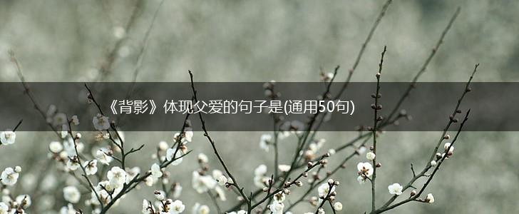 《背影》体现父爱的句子是(通用50句),第1张