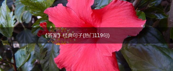 《答案》经典句子(热门119句),第1张