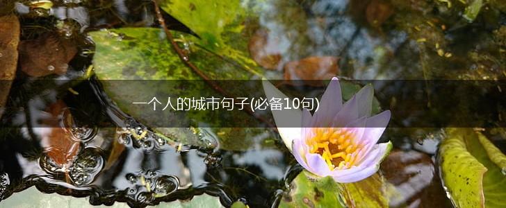 一个人的城市句子(必备10句),第1张