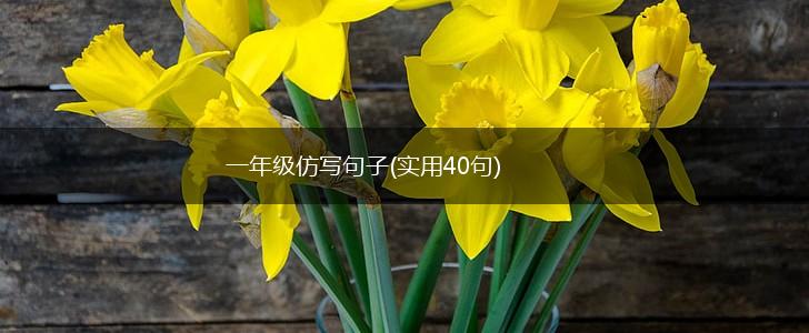 一年级仿写句子(实用40句),第1张