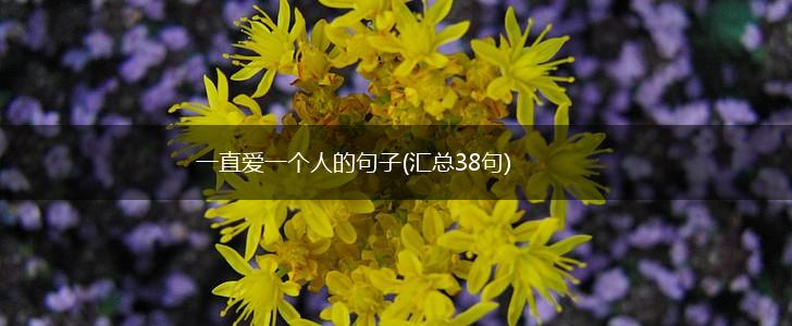 一直爱一个人的句子(汇总38句),第1张