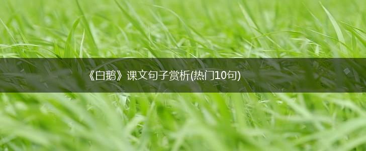 《白鹅》课文句子赏析(热门10句),第1张