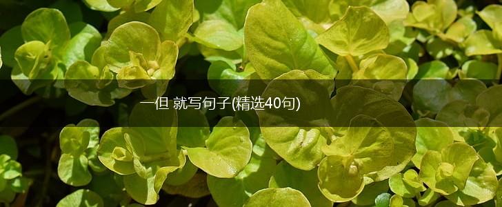一但 就写句子(精选40句),第1张
