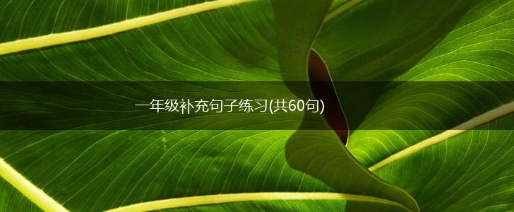一年级补充句子练习(共60句),第1张