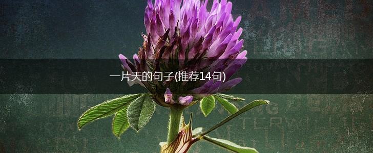 一片天的句子(推荐14句),第1张