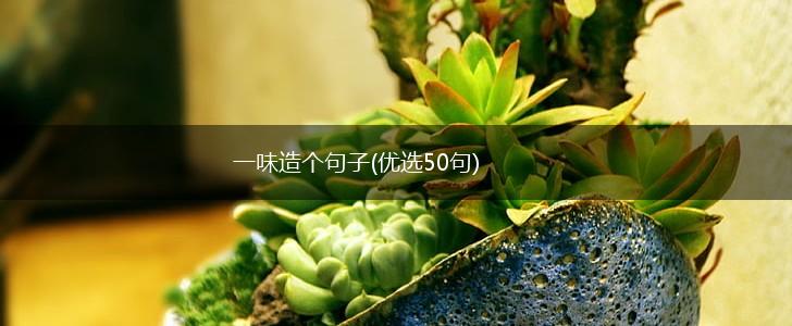 一味造个句子(优选50句),第1张