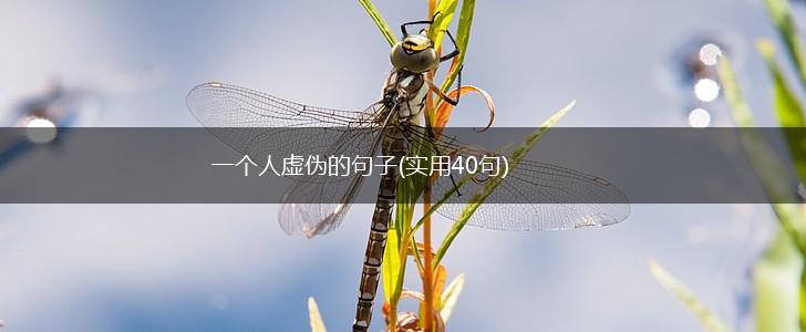 一个人虚伪的句子(实用40句),第1张