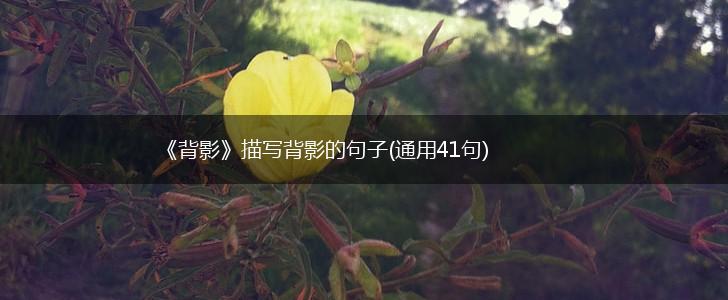 《背影》描写背影的句子(通用41句),第1张