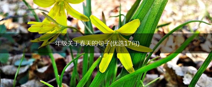 一年级关于春天的句子(优选17句),第1张