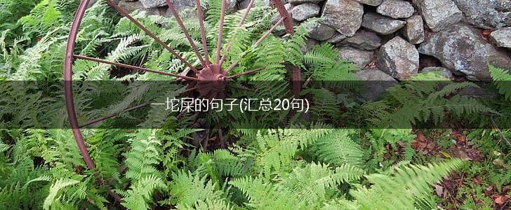 一坨屎的句子(汇总20句),第1张