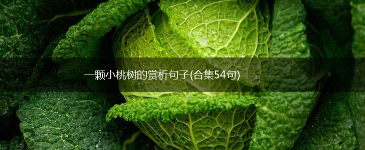 一颗小桃树的赏析句子(合集54句),第1张