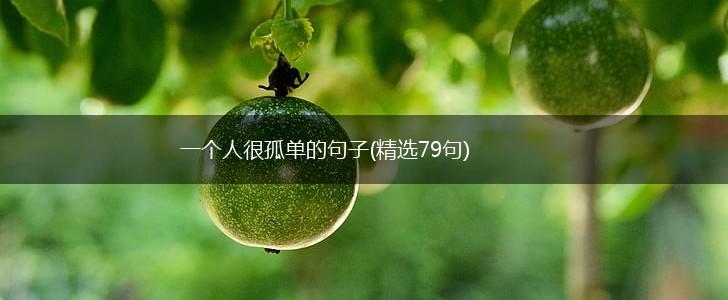 一个人很孤单的句子(精选79句),第1张