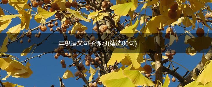 一年级语文句子练习(精选80句),第1张