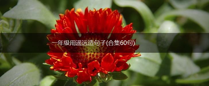 一年级用遥远造句子(合集60句),第1张