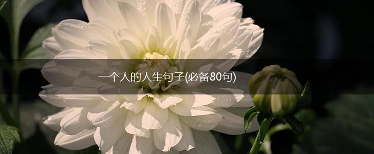 一个人的人生句子(必备80句),第1张