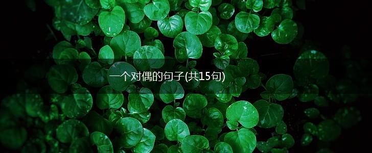 一个对偶的句子(共15句),第1张