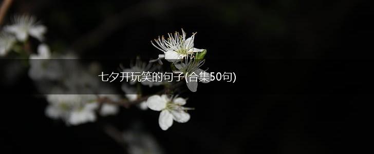 七夕开玩笑的句子(合集50句),第1张