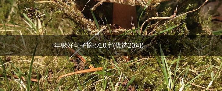 一年级好句子摘抄10字(优选20句),第1张