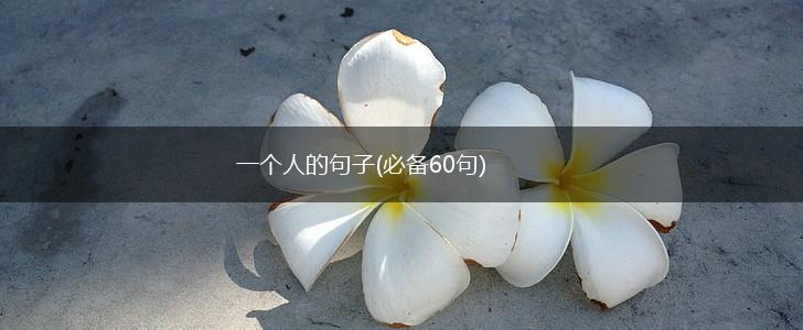 一个人的句子(必备60句),第1张