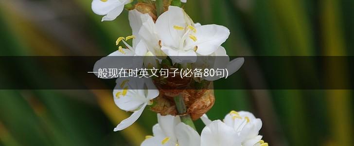 一般现在时英文句子(必备80句),第1张