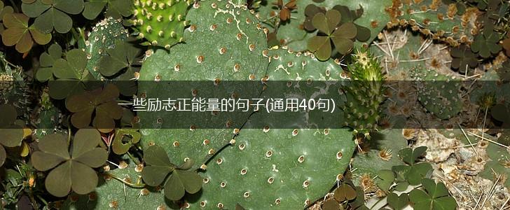 一些励志正能量的句子(通用40句),第1张