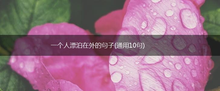 一个人漂泊在外的句子(通用10句),第1张