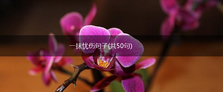 一抹忧伤句子(共50句),第1张