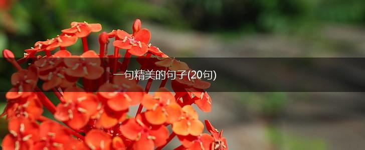 一句精美的句子(20句),第1张