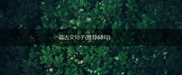 一篇古文句子(推荐68句),第1张