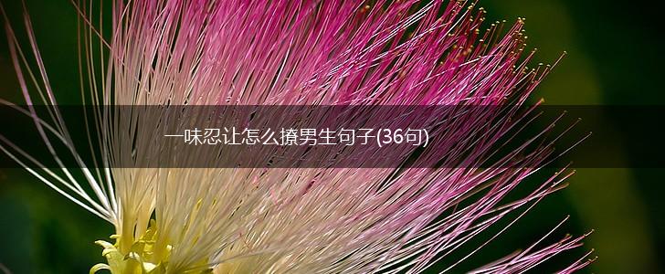 一味忍让怎么撩男生句子(36句),第1张