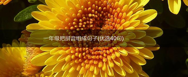 一年级把拼音组成句子(优选40句),第1张
