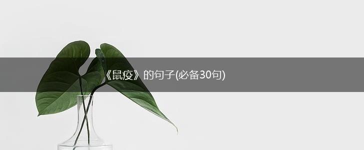 《鼠疫》的句子(必备30句),第1张