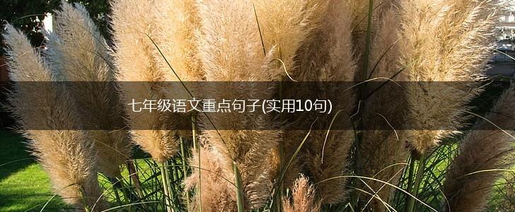 七年级语文重点句子(实用10句),第1张