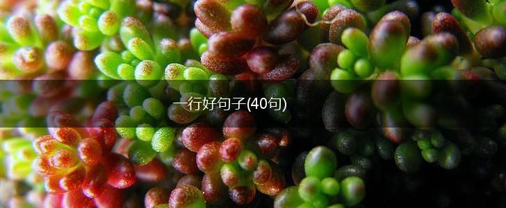 一行好句子(40句),第1张