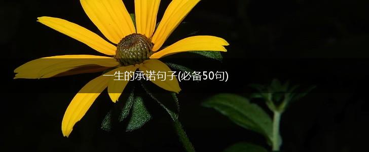 一生的承诺句子(必备50句),第1张