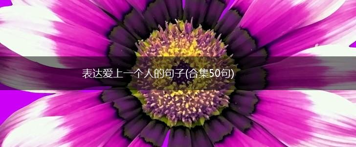 表达爱上一个人的句子(合集50句),第1张