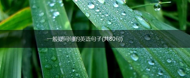 一般疑问句的英语句子(共80句),第1张