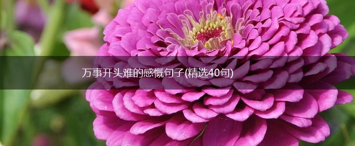 万事开头难的感慨句子(精选40句),第1张
