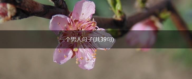 一个男人句子(共39句),第1张