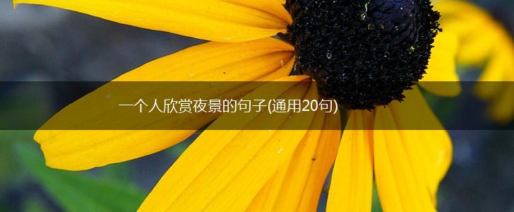 一个人欣赏夜景的句子(通用20句),第1张