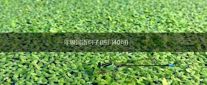 一年级词语句子(热门40句),第1张