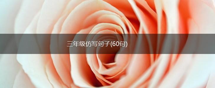 三年级仿写句子(60句),第1张